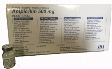 桐城Ampicillin 500g